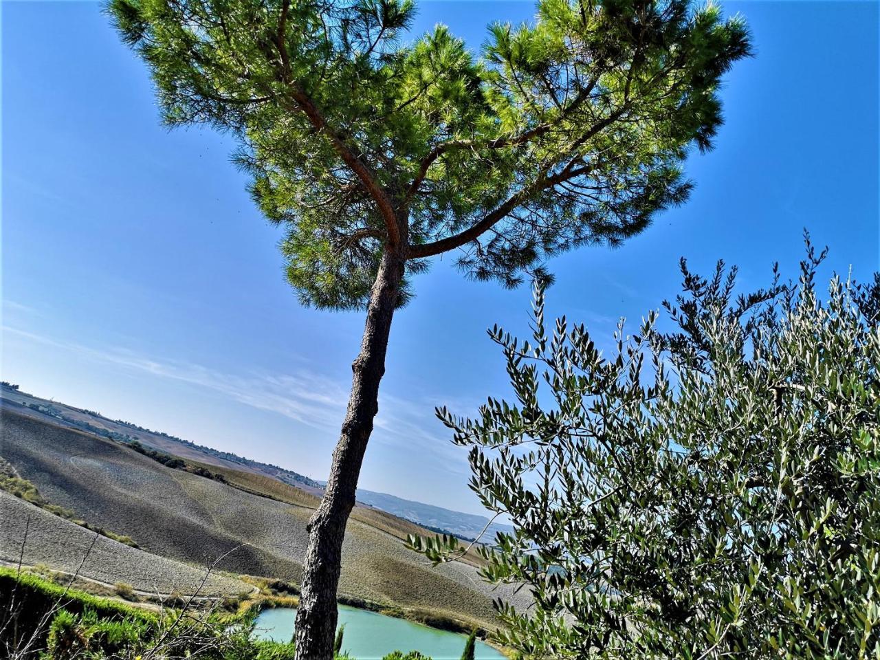 Agriturismo Palazzo Conti - B ピエンツァ エクステリア 写真