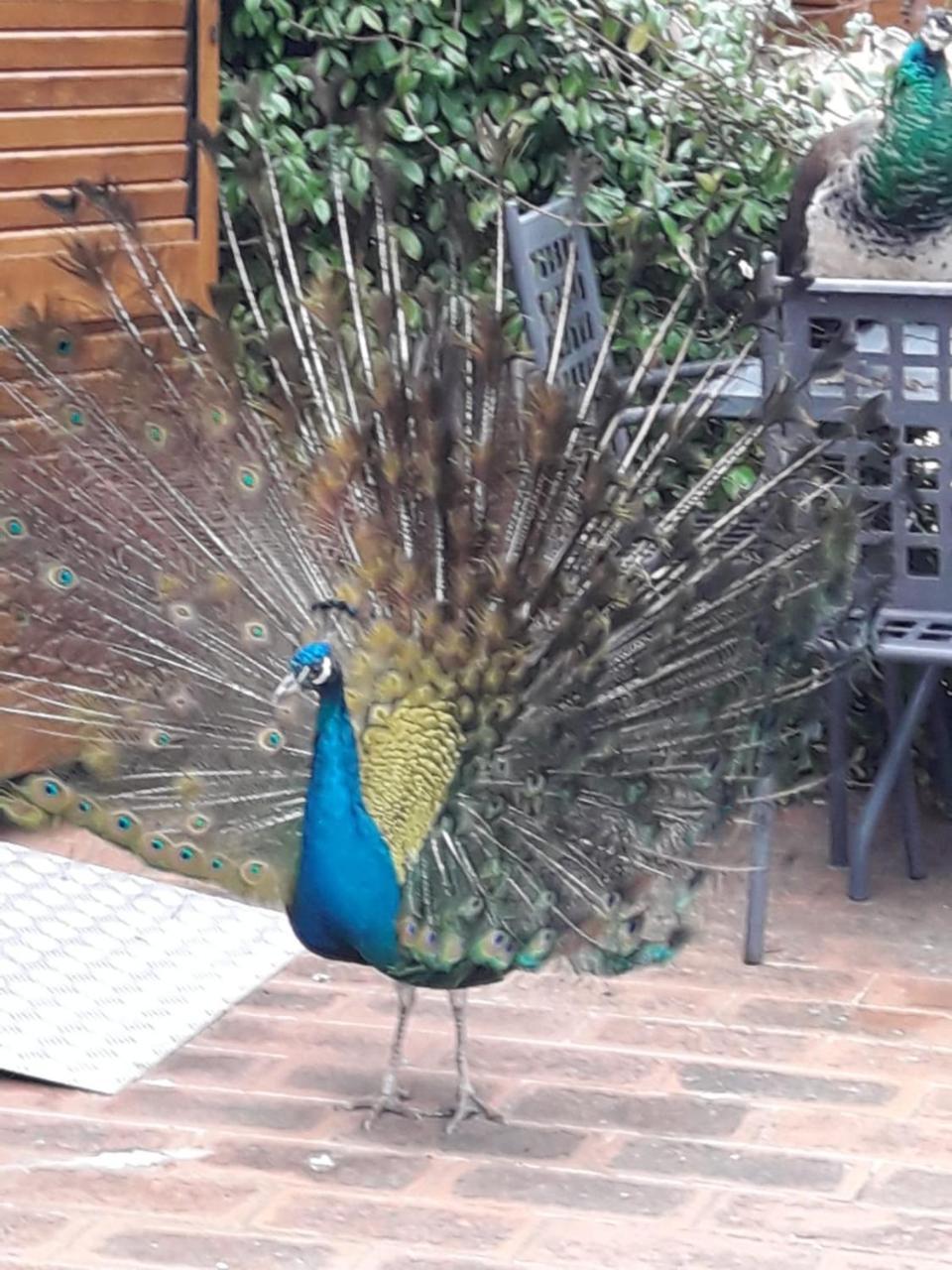 Agriturismo Palazzo Conti - B ピエンツァ エクステリア 写真